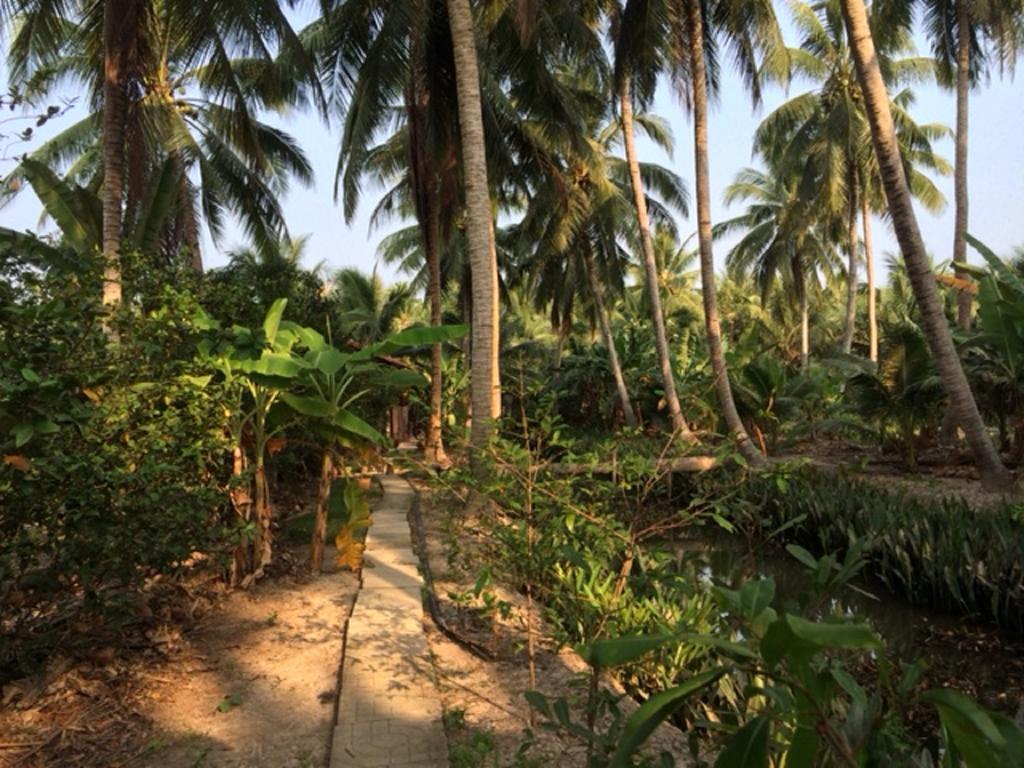 Charming Countryside Homestay Ben Tre Exterior photo